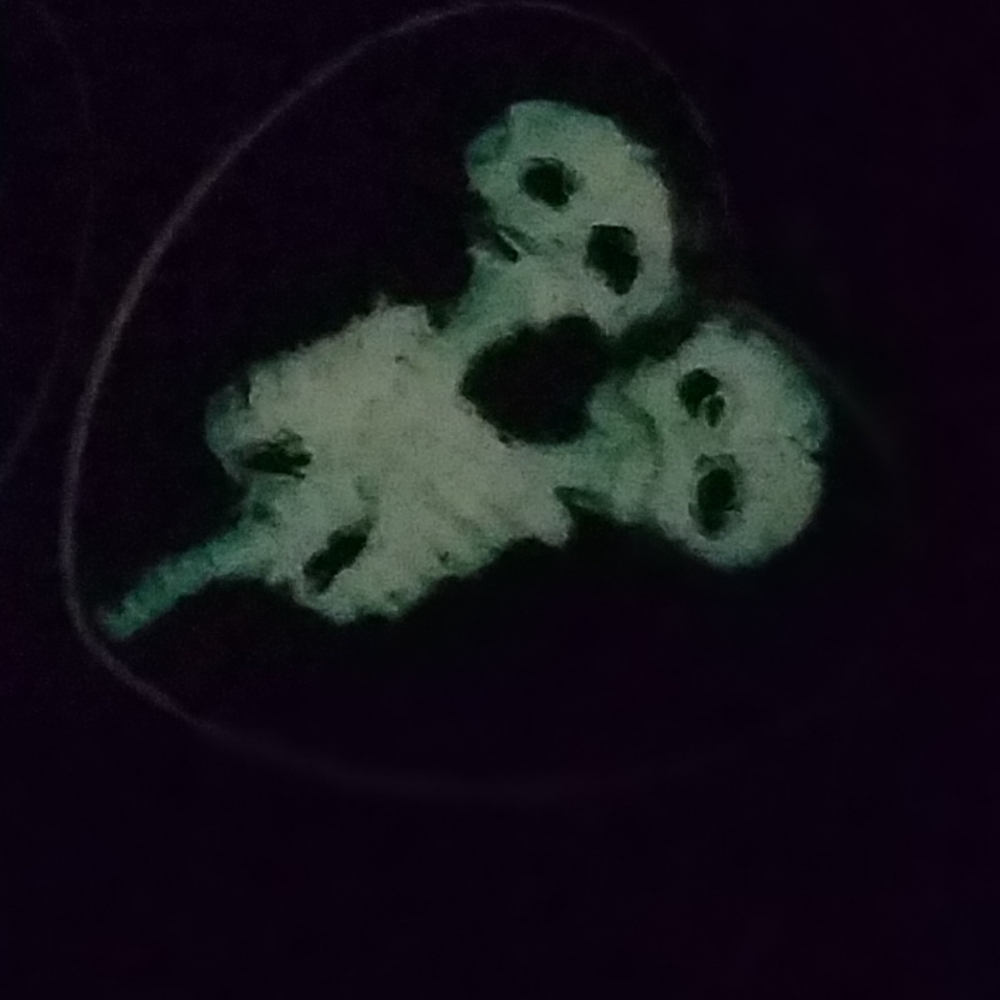 GLOW Conjoined Twins Necklace - Picture 11 of 13